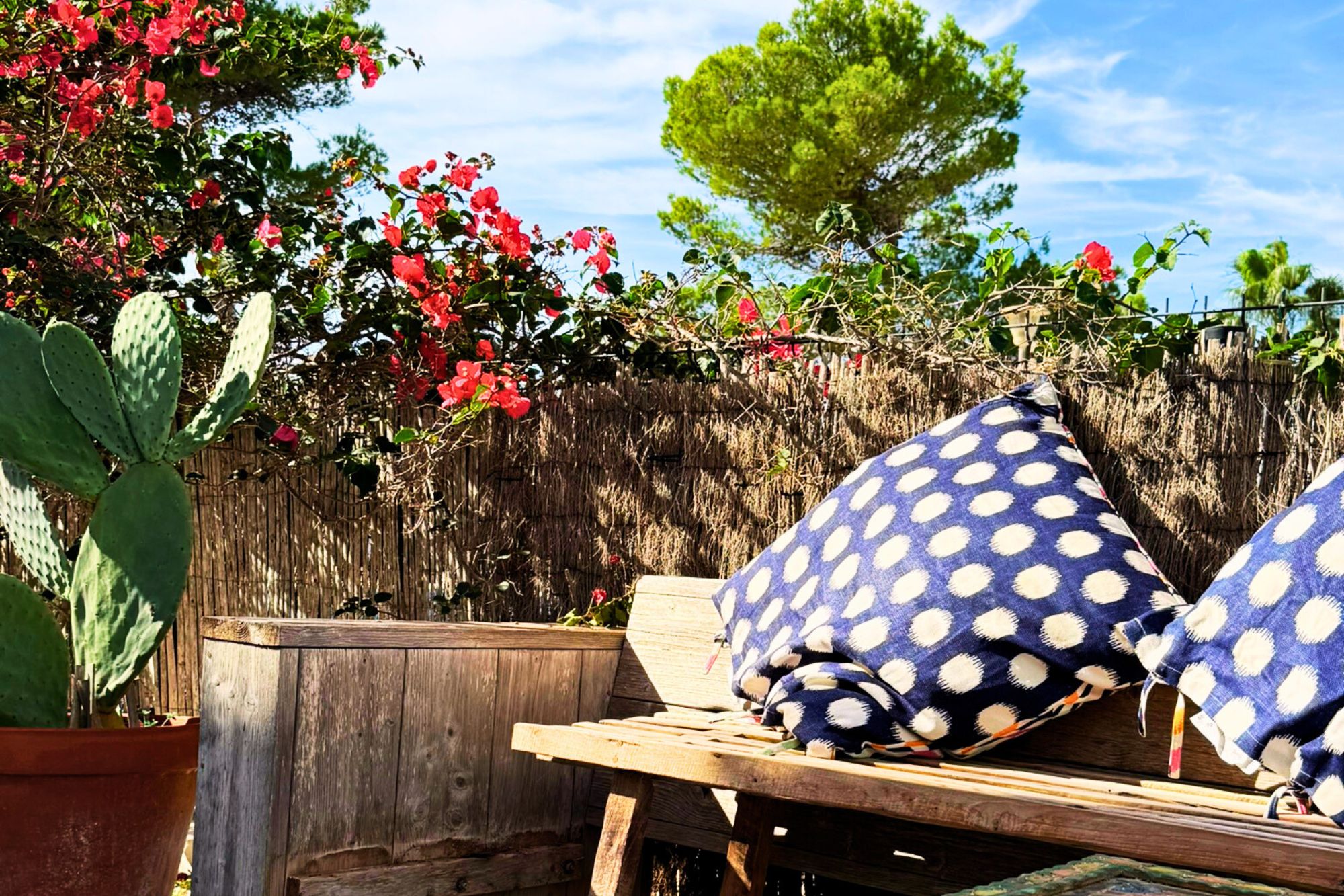 Resa Estates Ibiza Cala Tarida first line 3 bedrooms garden bed .jpg